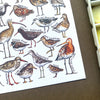 Alexia Claire | Waders of Britain | Postcard | Conscious Craft